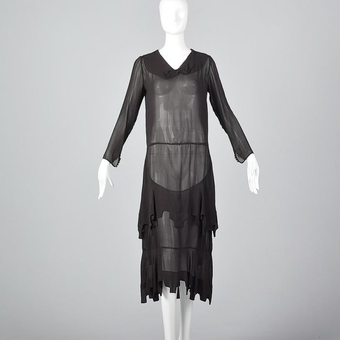 Small 1920s Sheer Dress Long Sleeves Layered Skirt Drop Waist Art Deco Flapper