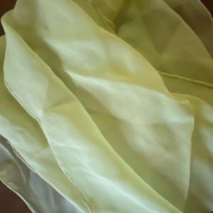 Vintage Scarves by Vera Neumann Vintage Green Hand Rolled Silk Oblong Scarf - Fashionconservatory.com