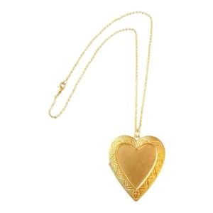 Vintage XL Functional Heart Locket in Bronze on a Dainty Gold Rolo Chain, 21”